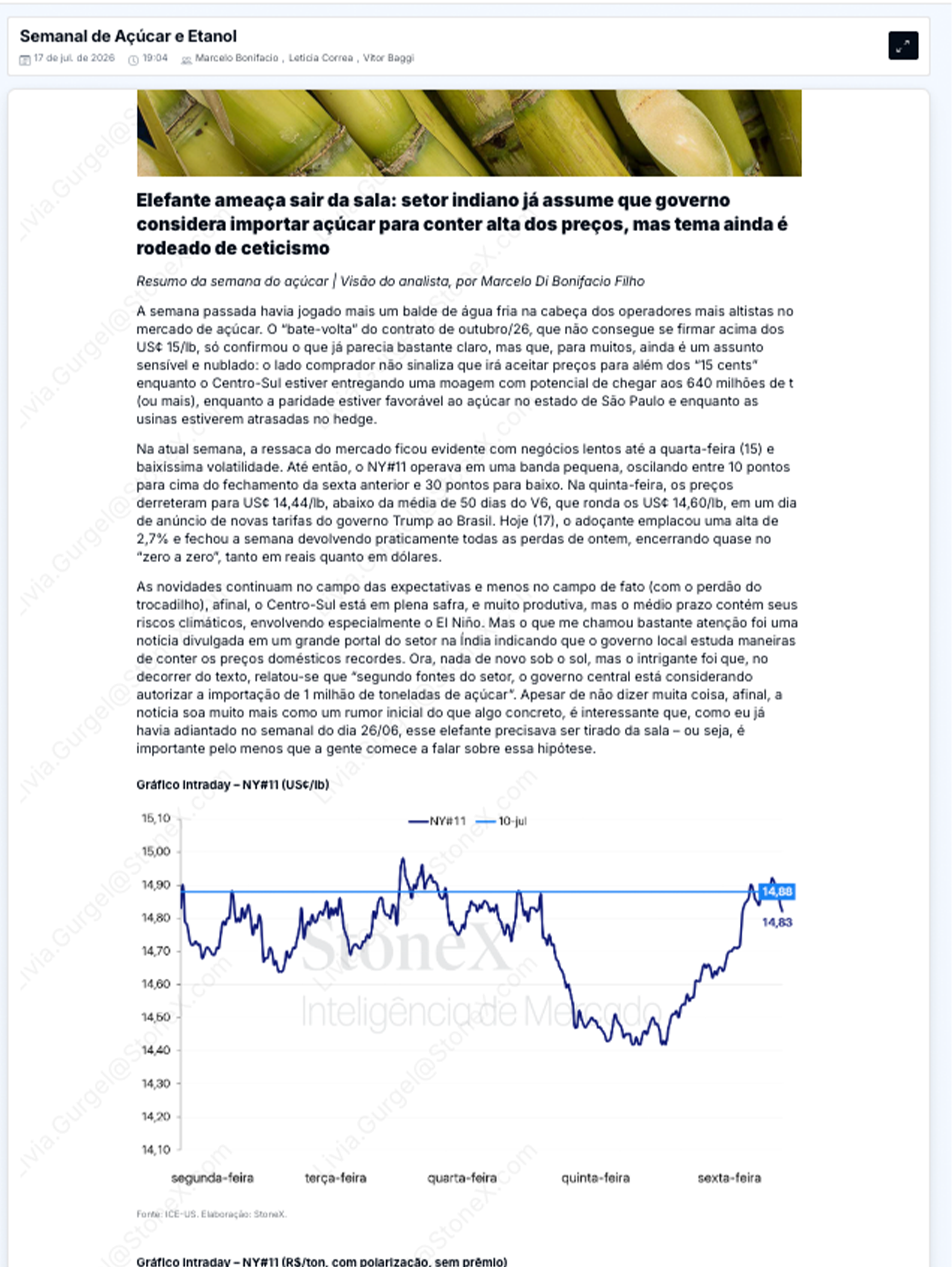Açúcar Premium - Relatórios de Mercado