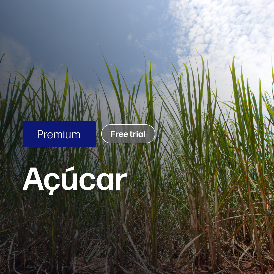 Açúcar Premium - Relatórios de Mercado