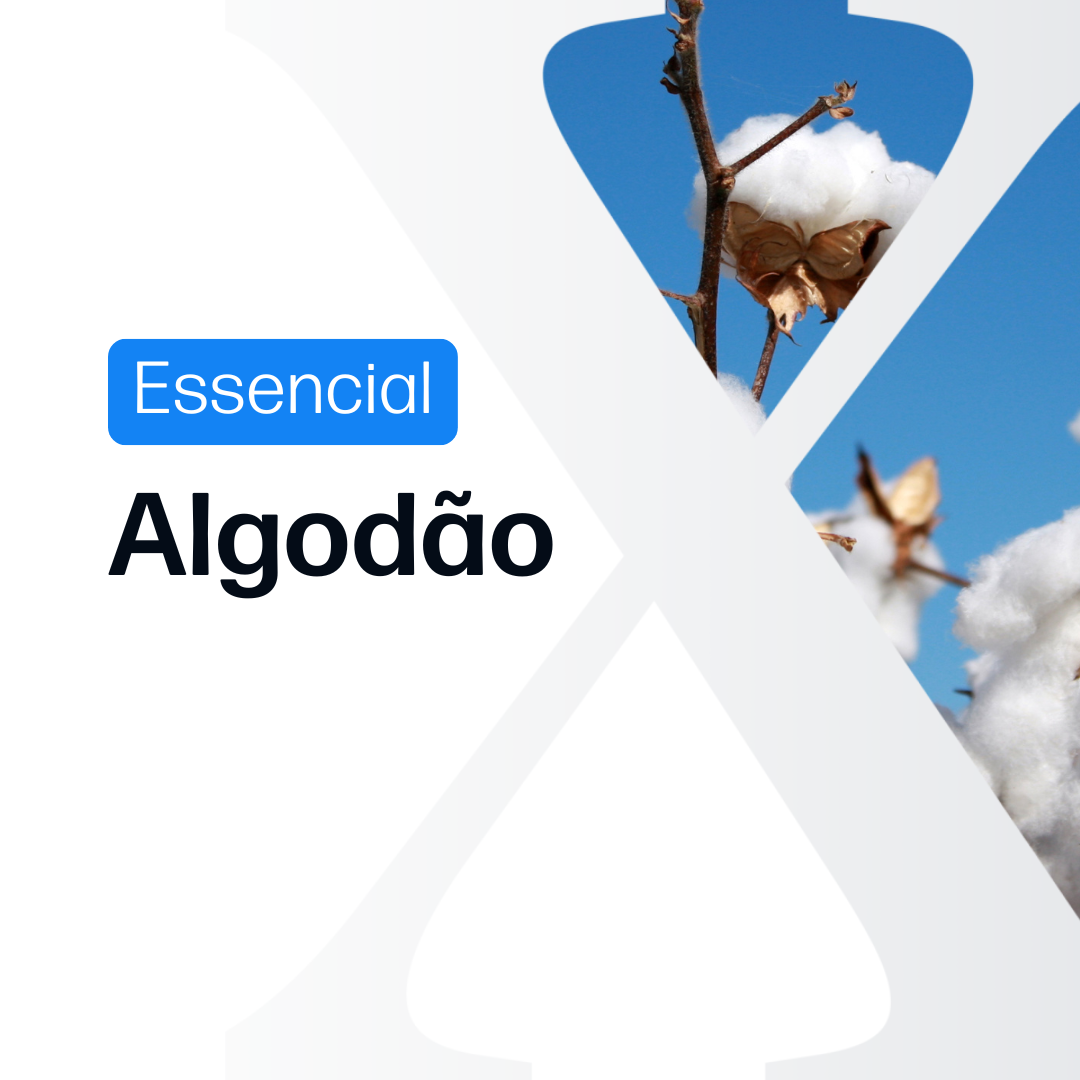 Algodão Essencial - Relatórios de Mercado