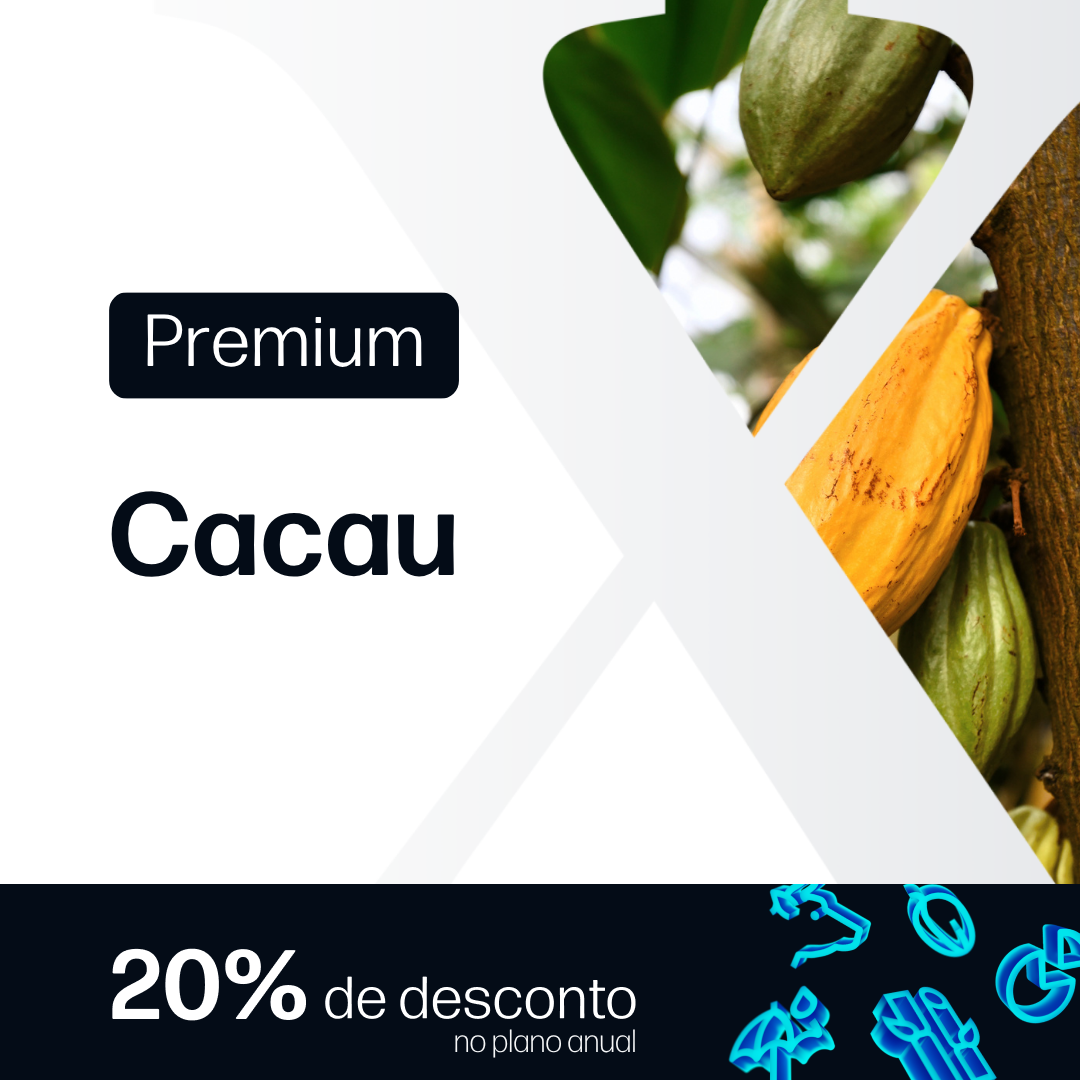 Cacau Premium - Relatórios de Mercado