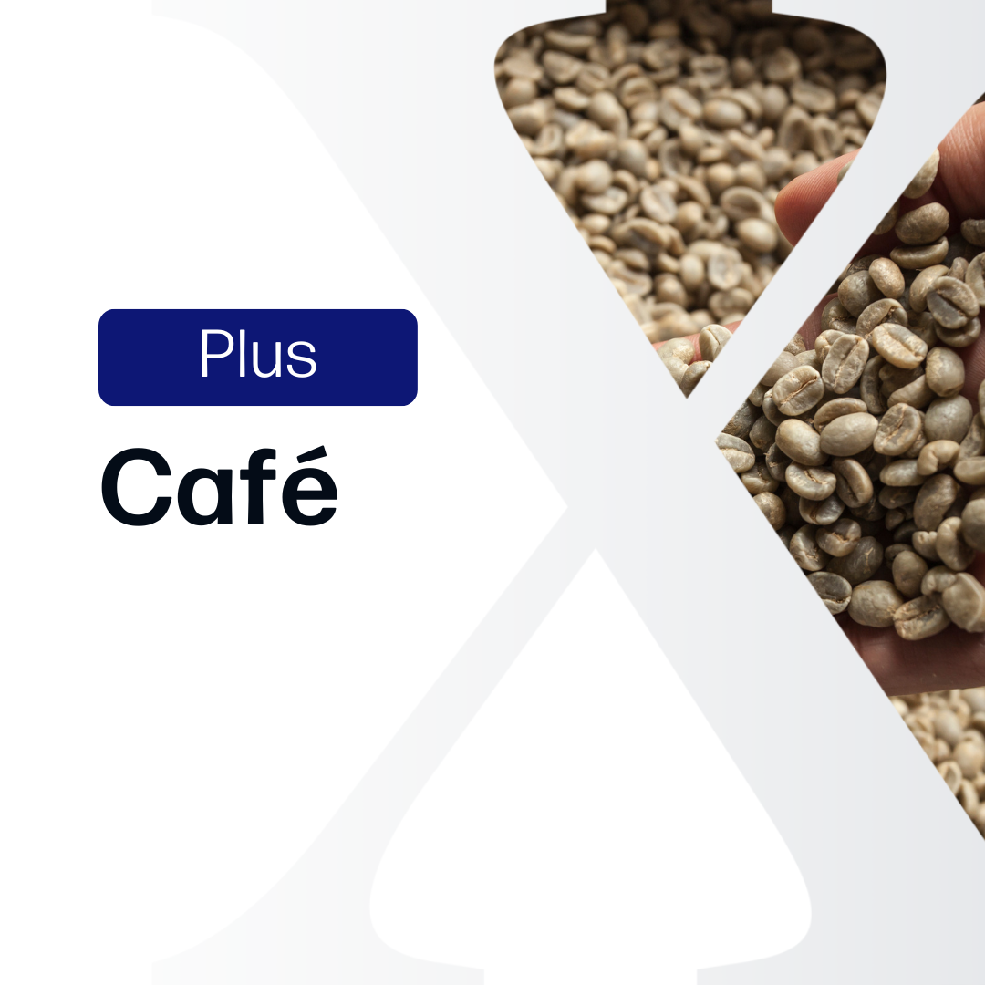 Café Plus - Relatórios de Mercado