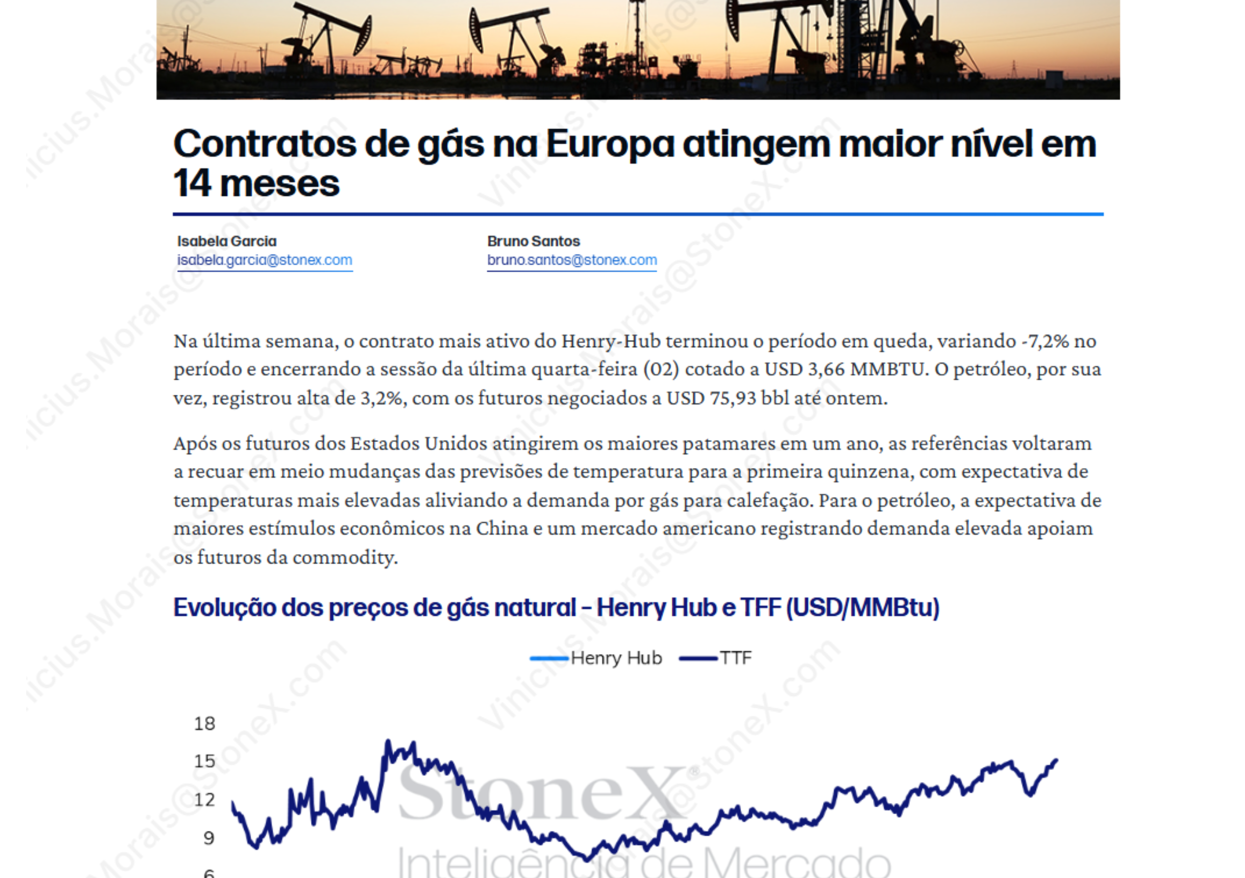 Gás Natural Plus - Relatórios de Mercado