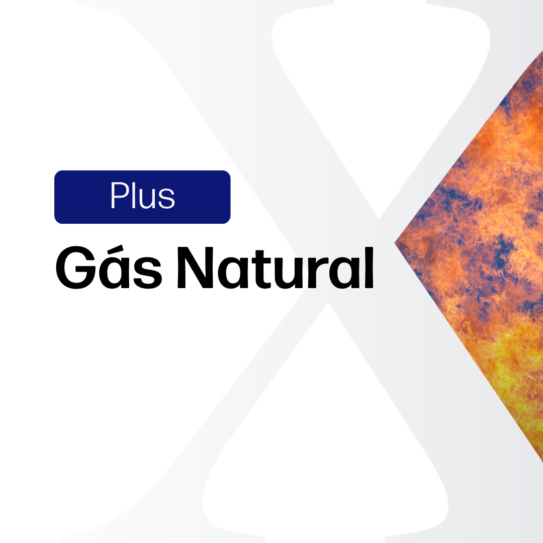 Gás Natural Plus - Relatórios de Mercado