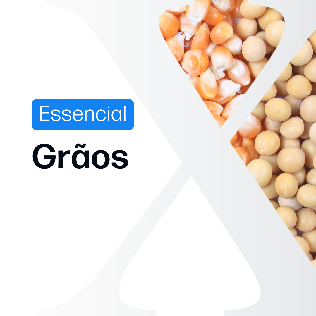 Grãos Essencial - Relatórios de Mercado