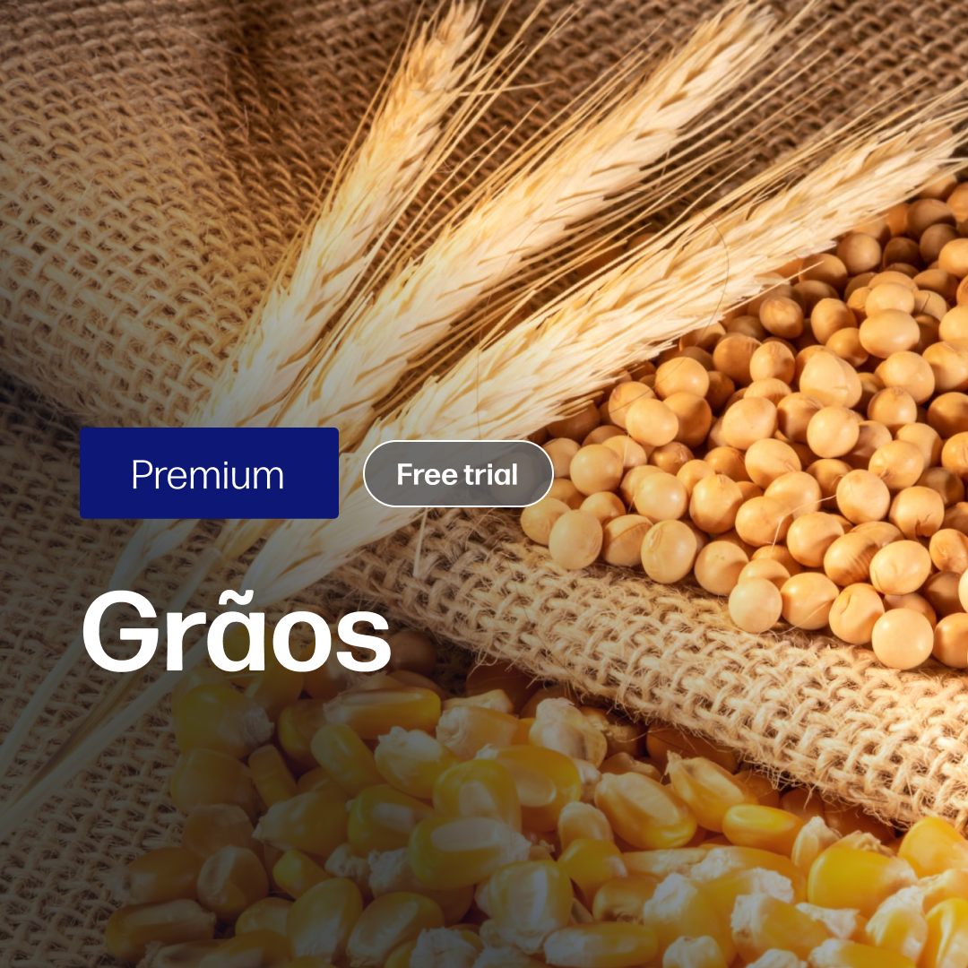 Grãos Premium - Relatórios de Mercado