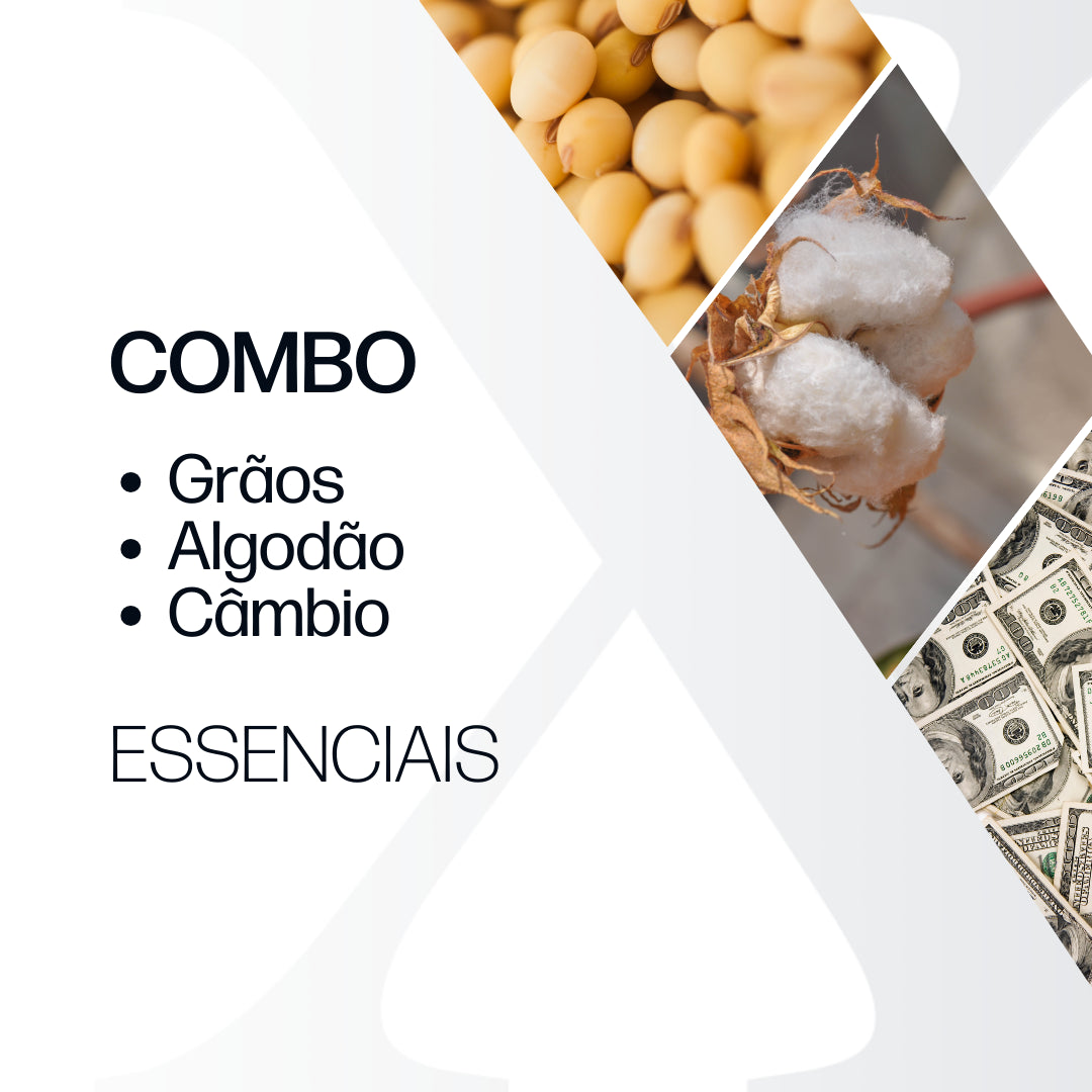 Combo essencial: Grãos & Algodão + Câmbio