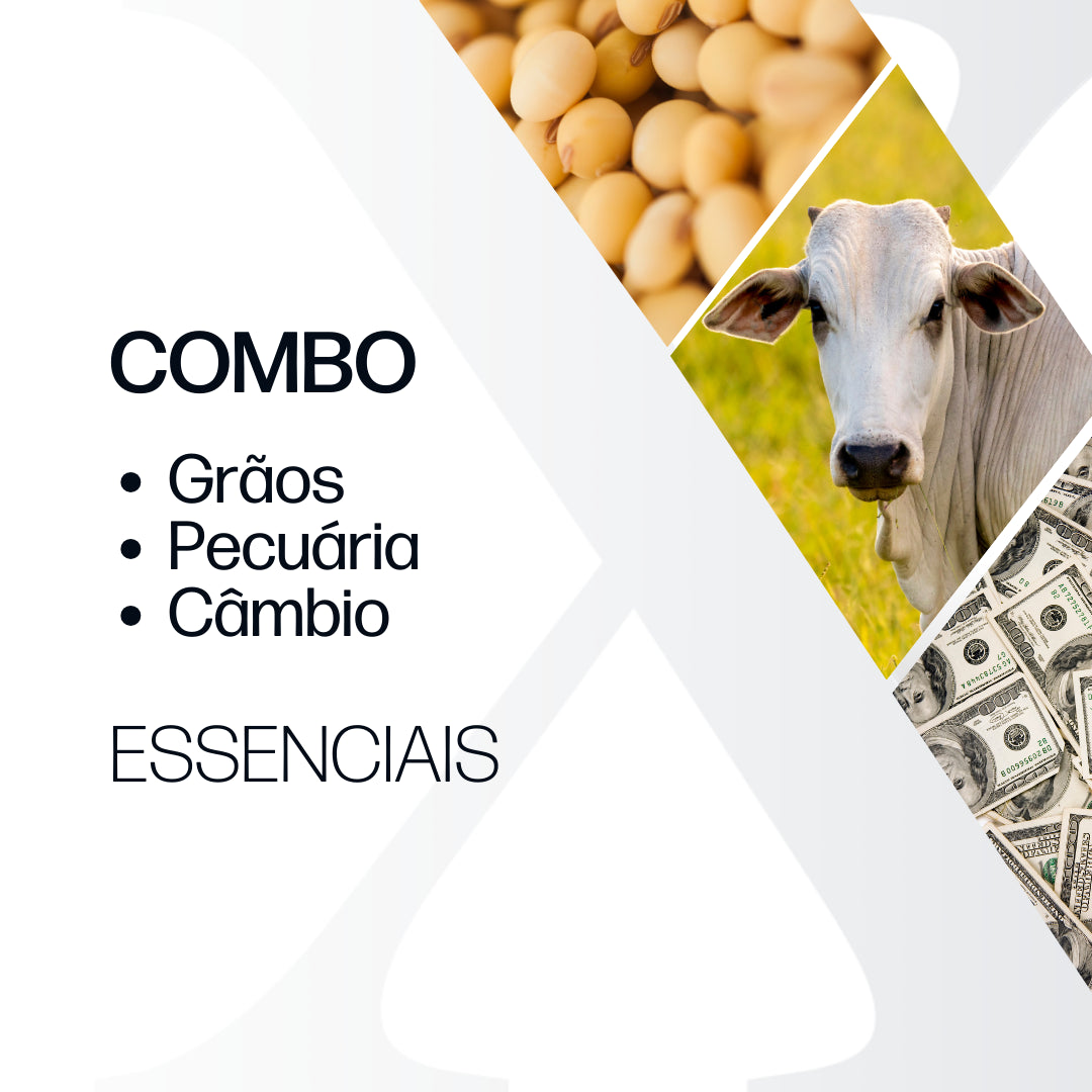 Combo essencial: Grãos & Pecuária + Câmbio