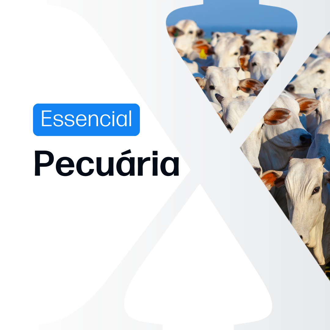 Pecuária Essencial - Relatórios de Mercado