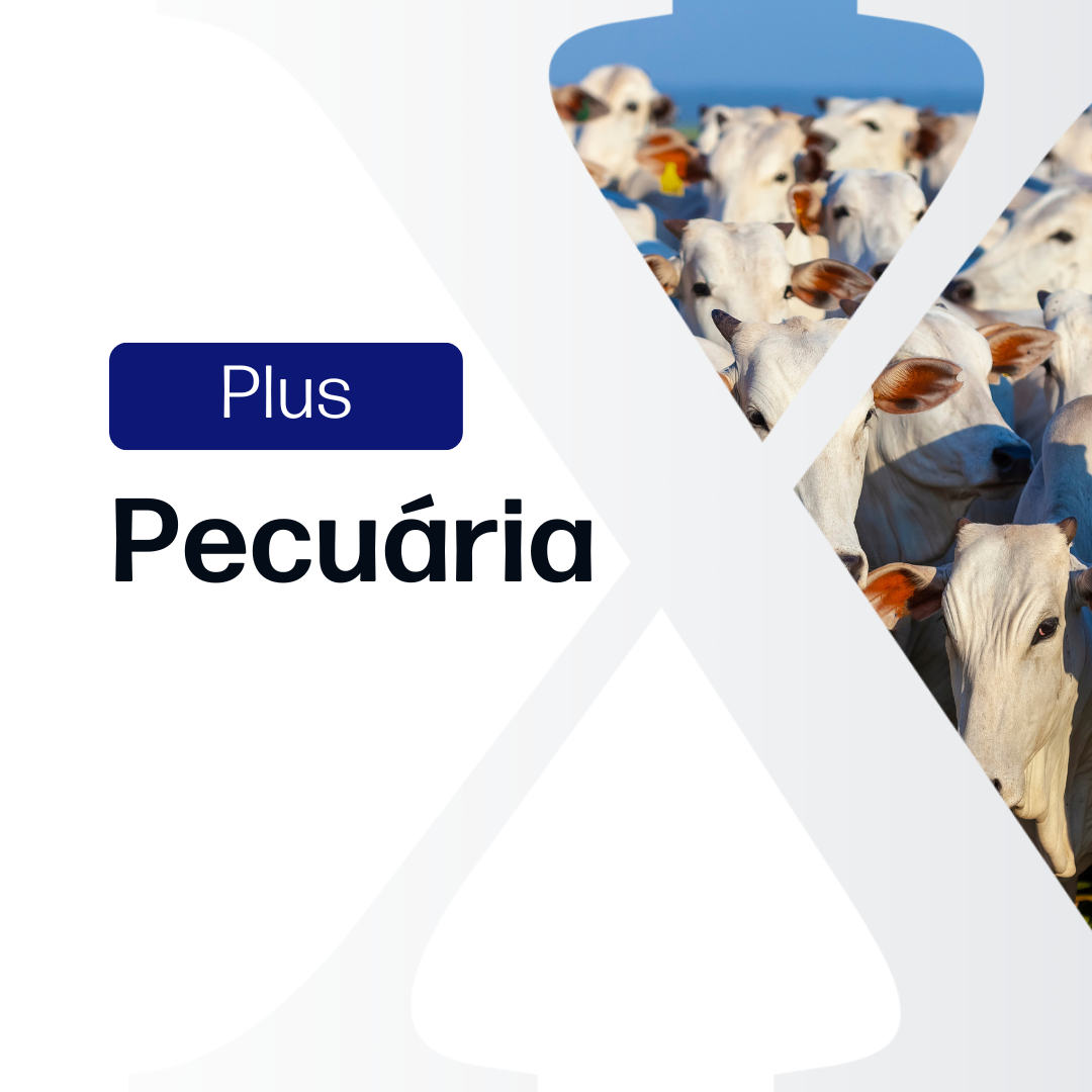 Pecuária Plus - Relatórios de Mercado