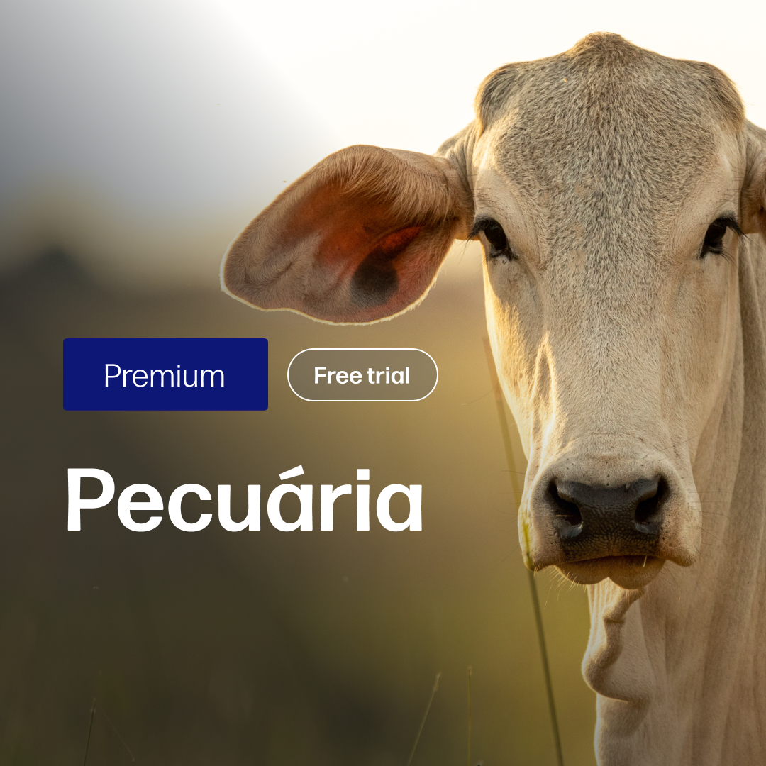 Pecuária Premium  - Relatórios de Mercado