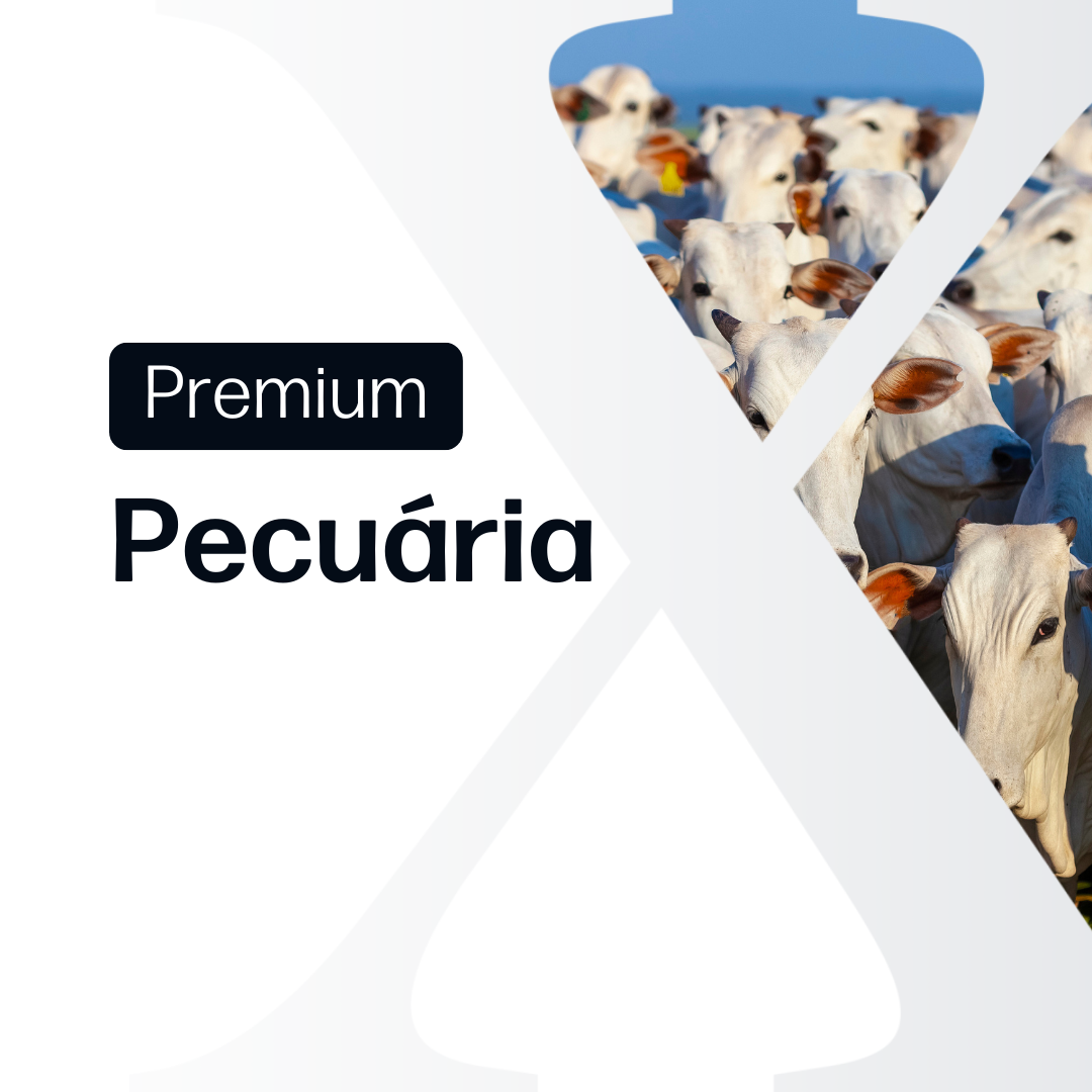 Pecuária Premium  - Relatórios de Mercado