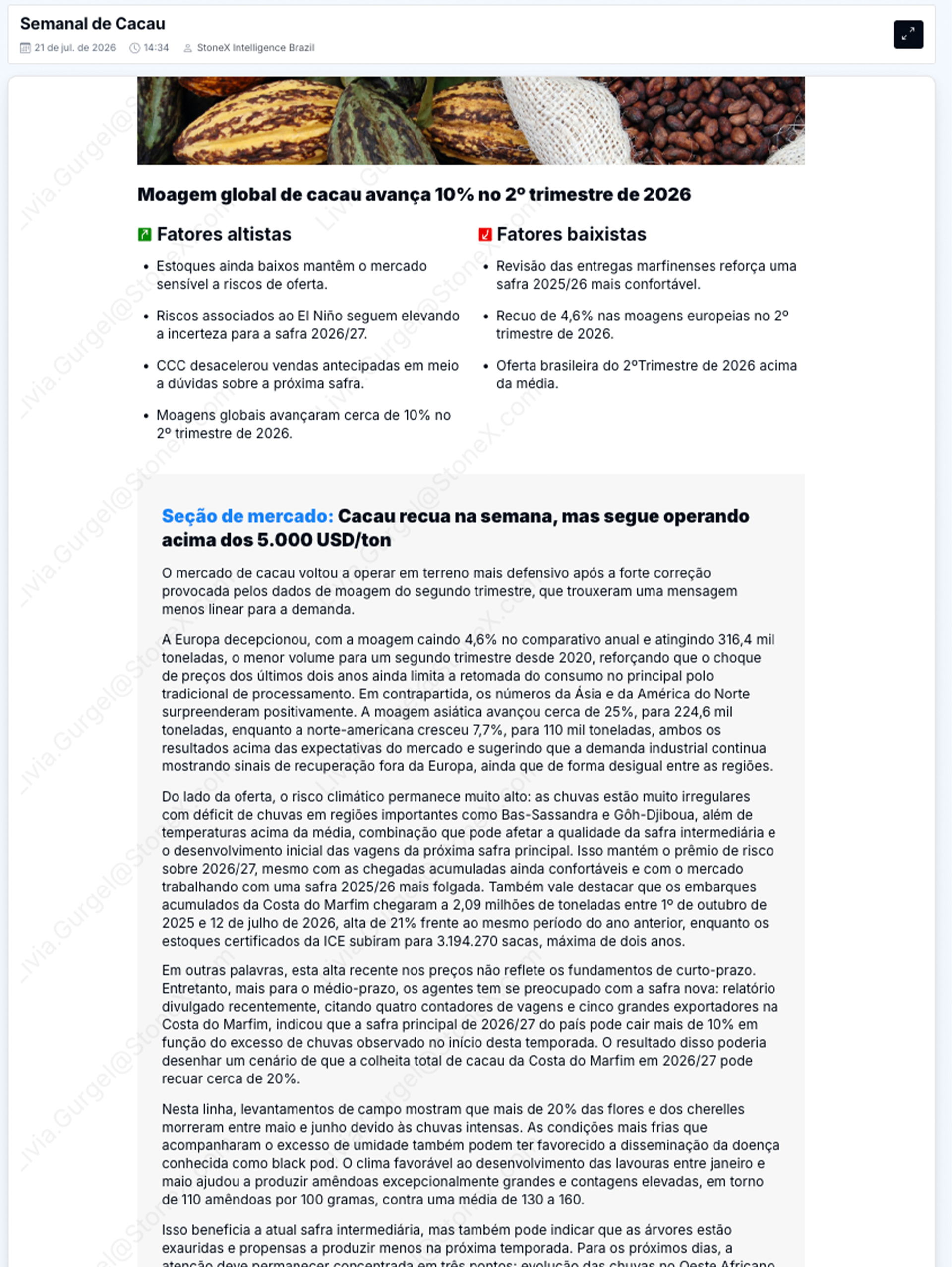 Cacau Premium - Relatórios de Mercado