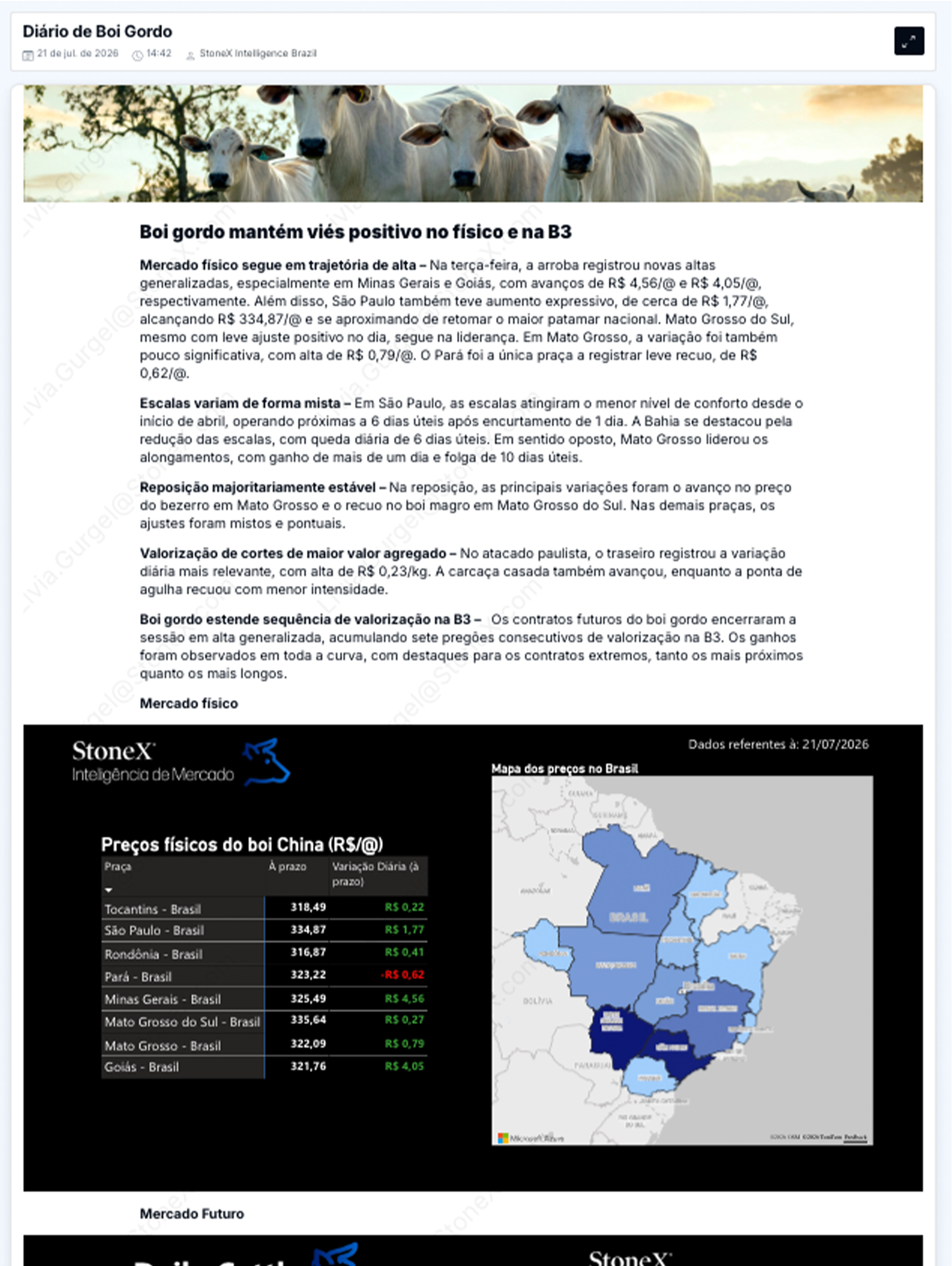 Pecuária Premium  - Relatórios de Mercado